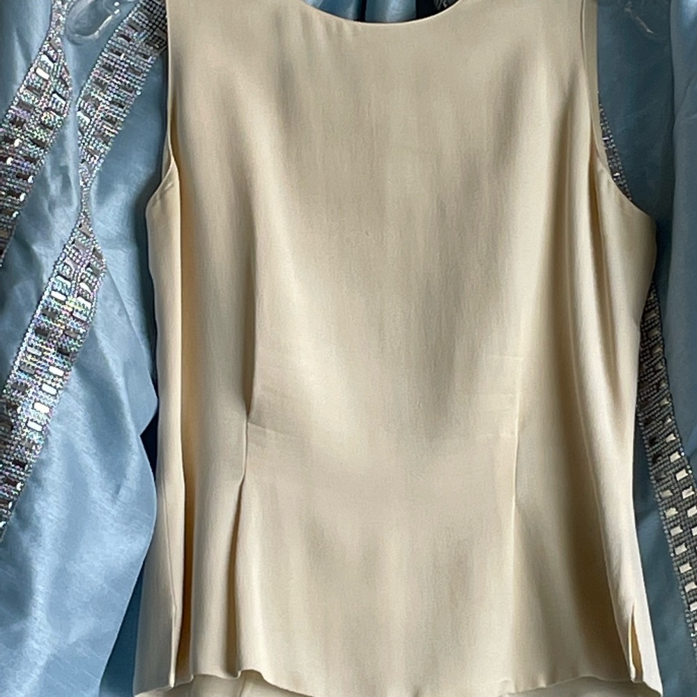 Cool Dana Buchman Silk blouse